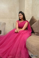 Anchor Syamala at Speedunnodu Movie Platinum Disc Function